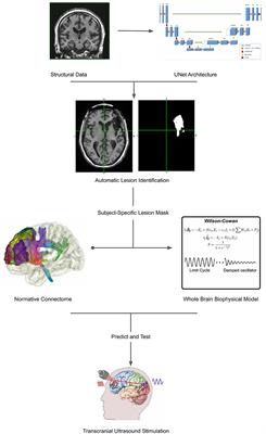 Patient-specific modeling for guided rehabilitation of stroke patients: the BrainX3 use-case